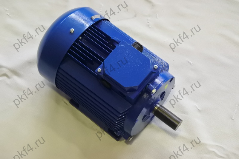 Электродвигатель АДМ 100 L2 Электродвигатель АДМ 100 L2