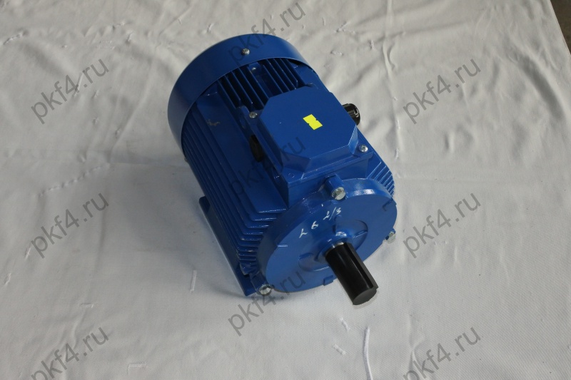 Электродвигатель АДМ 100 L6 Электродвигатель АДМ 100 L6