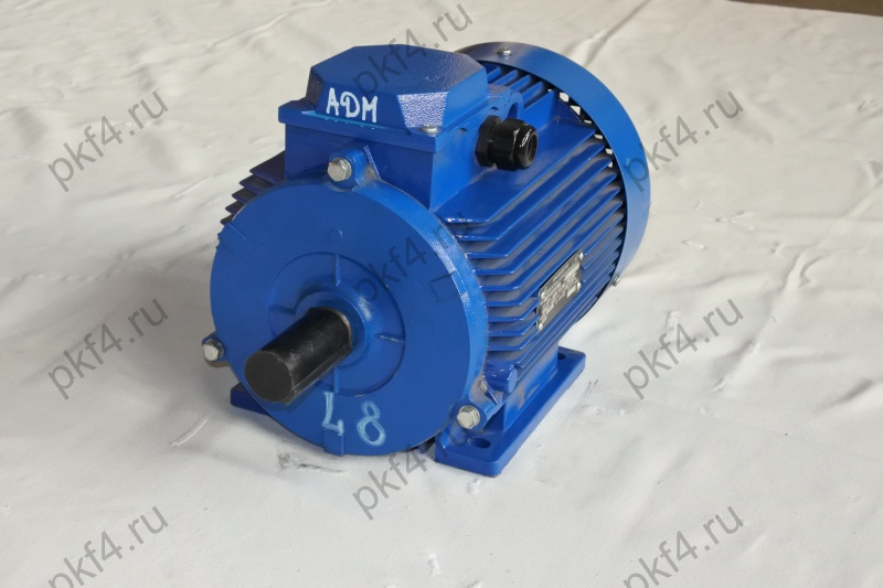 Электродвигатель АДМ 100 L8 Электродвигатель АДМ 100 L8